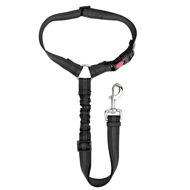 Cinturón de seguridad para perro