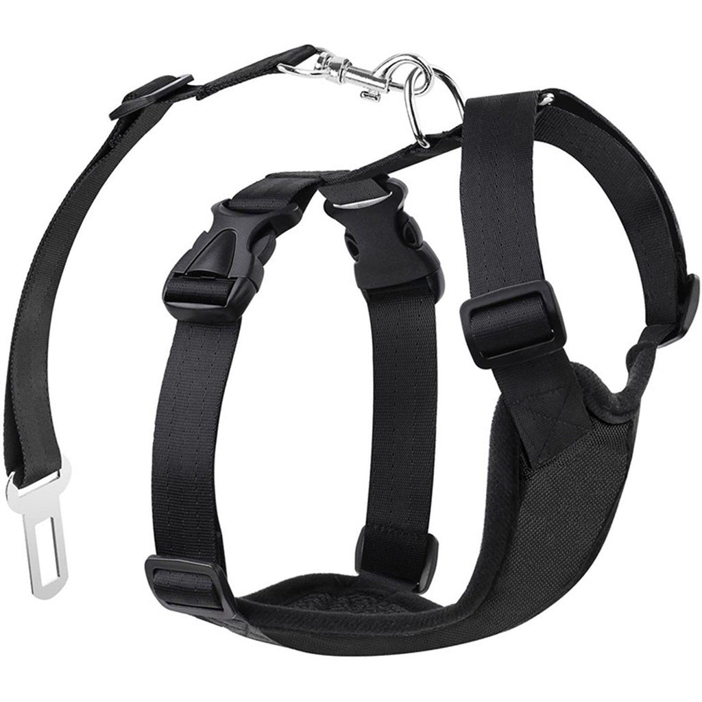 Cinturón de seguridad para perro